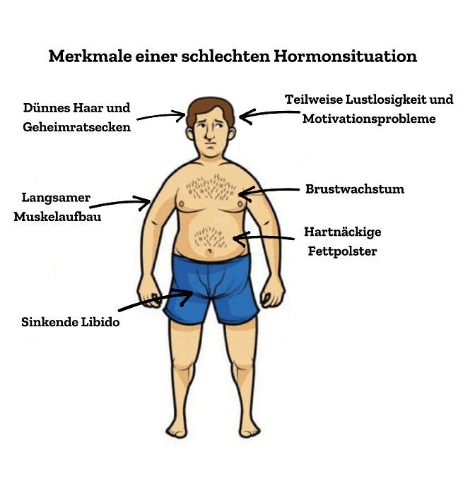 Männerbrust-Hormone